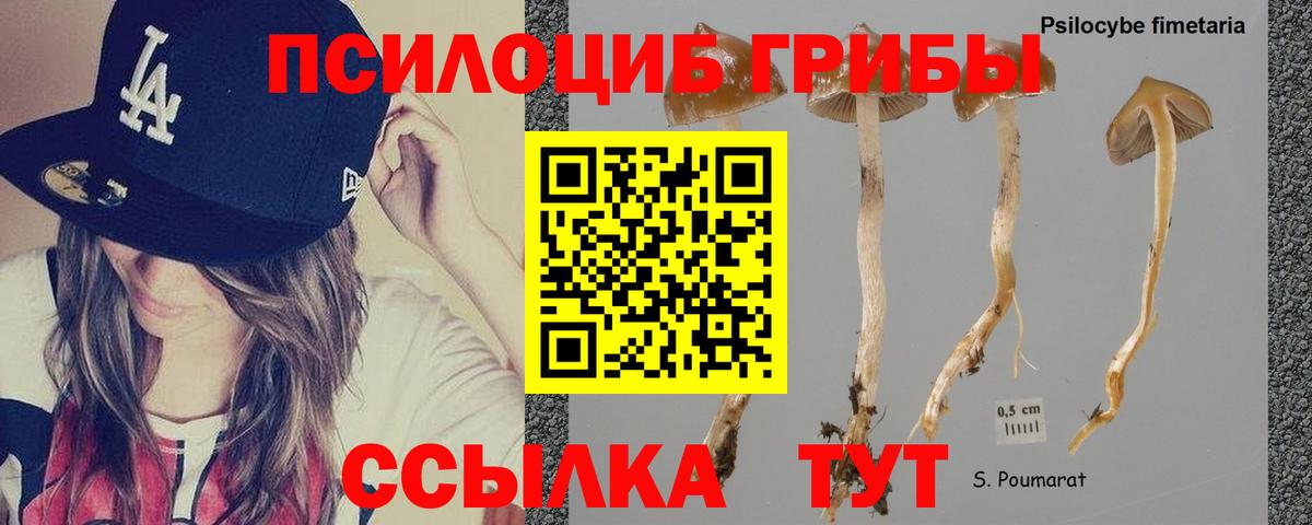 Галлюциногенные грибы MAGIC MUSHROOMS Лесозаводск